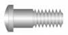 Stainless Hinge Screws <br> 1.6mm x 5.0mm x 1.9mm head <br> For Eyeglass Hinges & Eyewires <br> Pack of 100