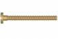 Gold Trim Screws