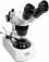 Microscopes <br>